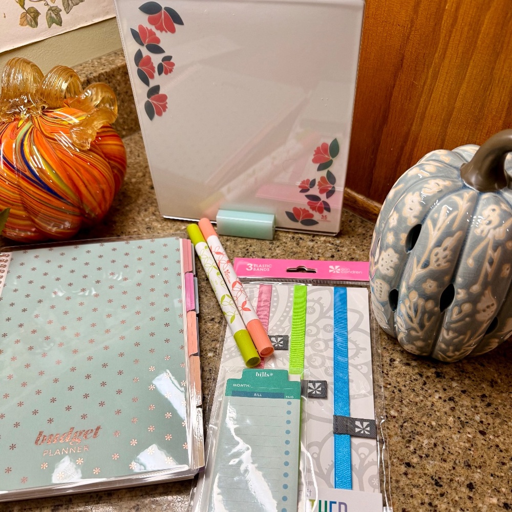 💰 Erin Condren A5 Budget Planner Bundle - Picture 4 of 16